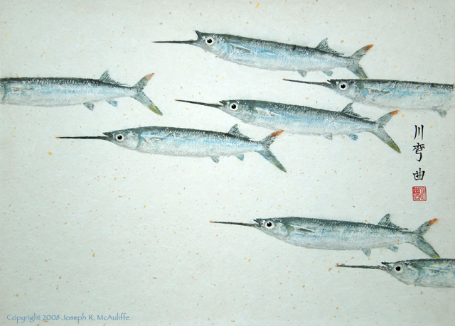 Ballyhoo fish store
