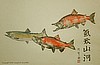 Spawning Kokanee Salmon